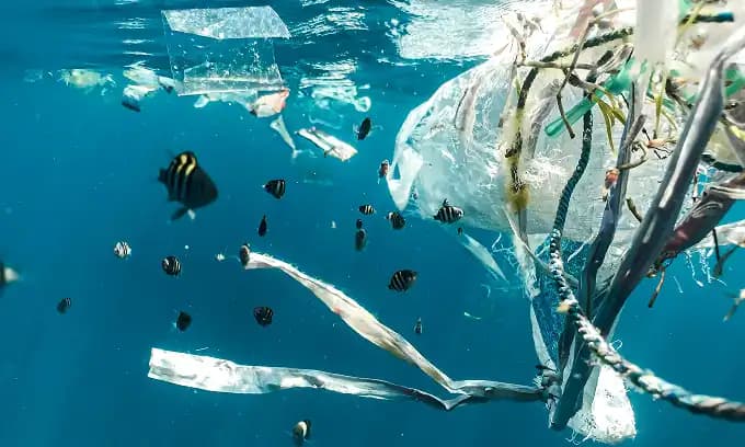 Dépollution