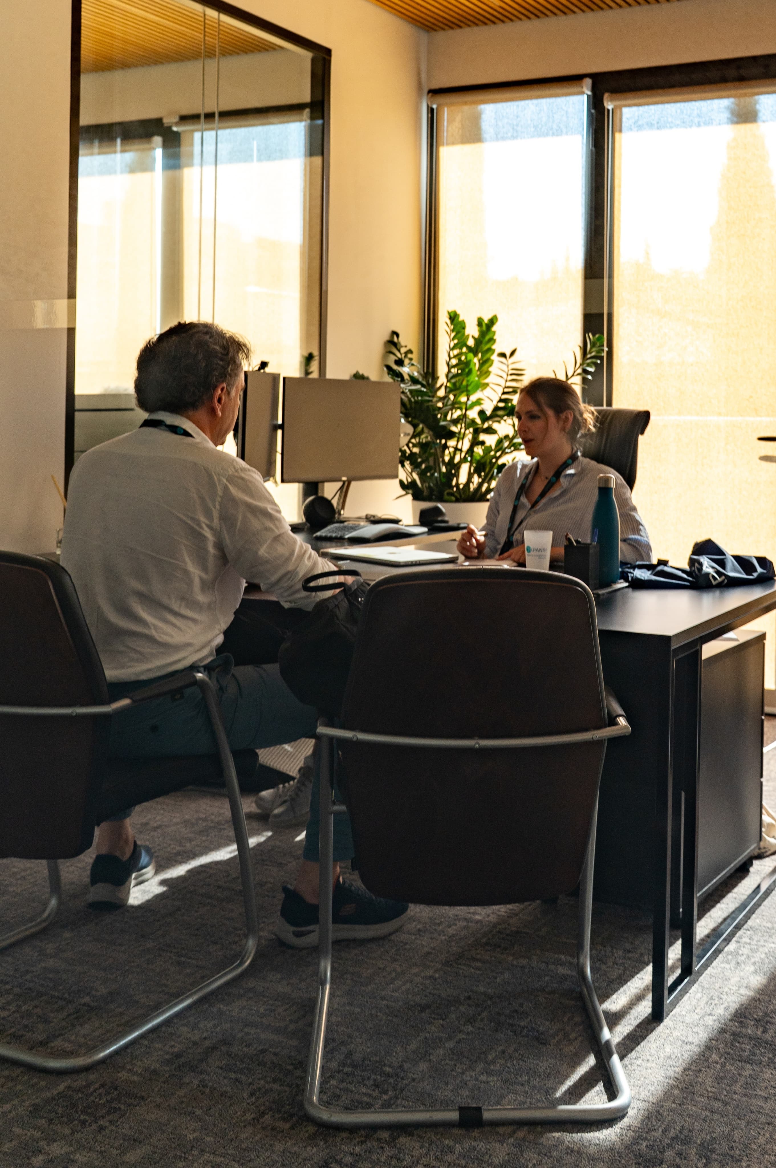 Consultation lors d'une réunion professionnelle